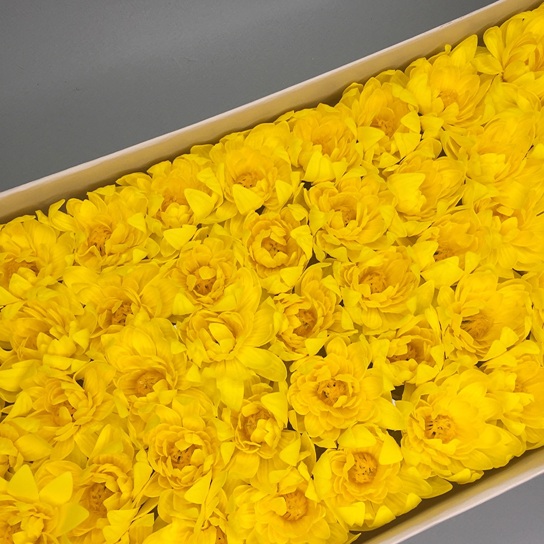 Хризантема — желтая 50 шт
