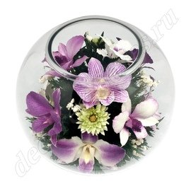 Фиолетовые орхидеи (арт. BNO)