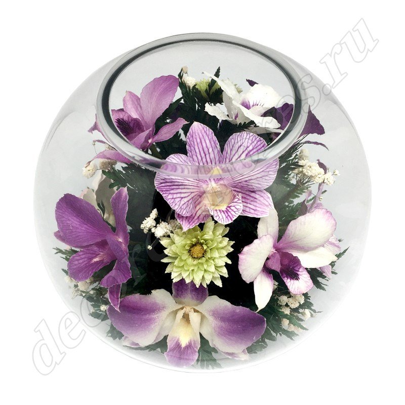 Фиолетовые орхидеи (арт. BNO)