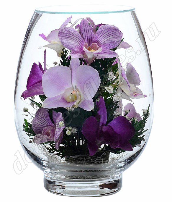 Орхидеи в стеклянной вазе