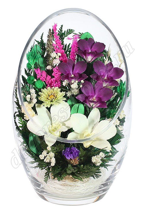 Орхидеи в скошенной вазе