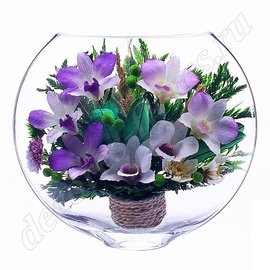 Белые и сиреневые орхидеи в стекле