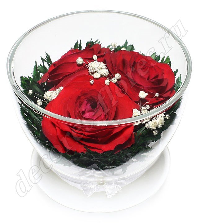 Три красные розы в стекле