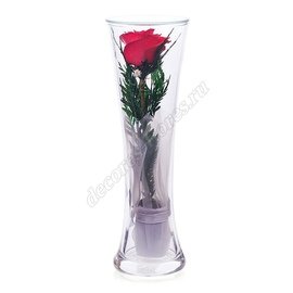 Красная роза в высокой вазе