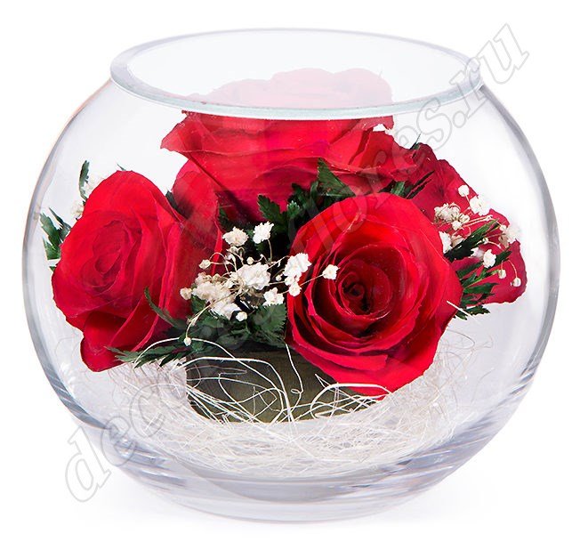 Красные розы в малой круглой вазе