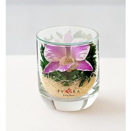 Орхидея в стакане с декором