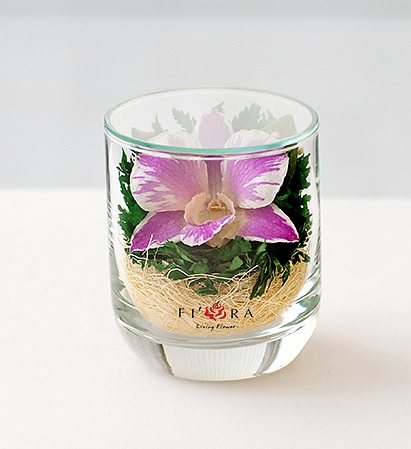 Орхидея в стакане с декором