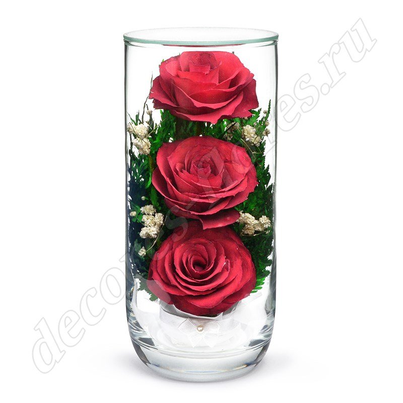 Три красные розы в цилиндре (арт. CSR)