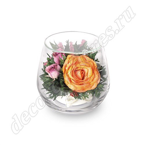 Оранжевая роза в стакане