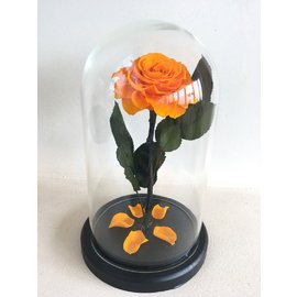 Роза в колбе 27х14 см, оранжевая