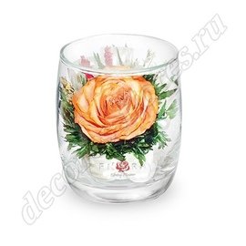 Оранжевая роза в стакане ivory