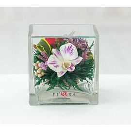 Розы и орхидеи в вазе куб