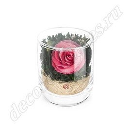 Розовая роза в стакане с декором