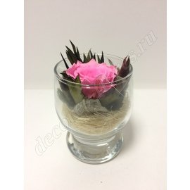 Розовая роза в мини стаканчике