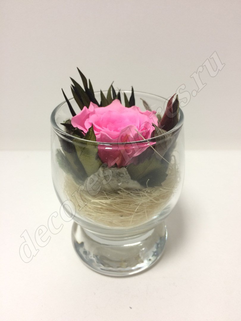 Розовая роза в мини стаканчике
