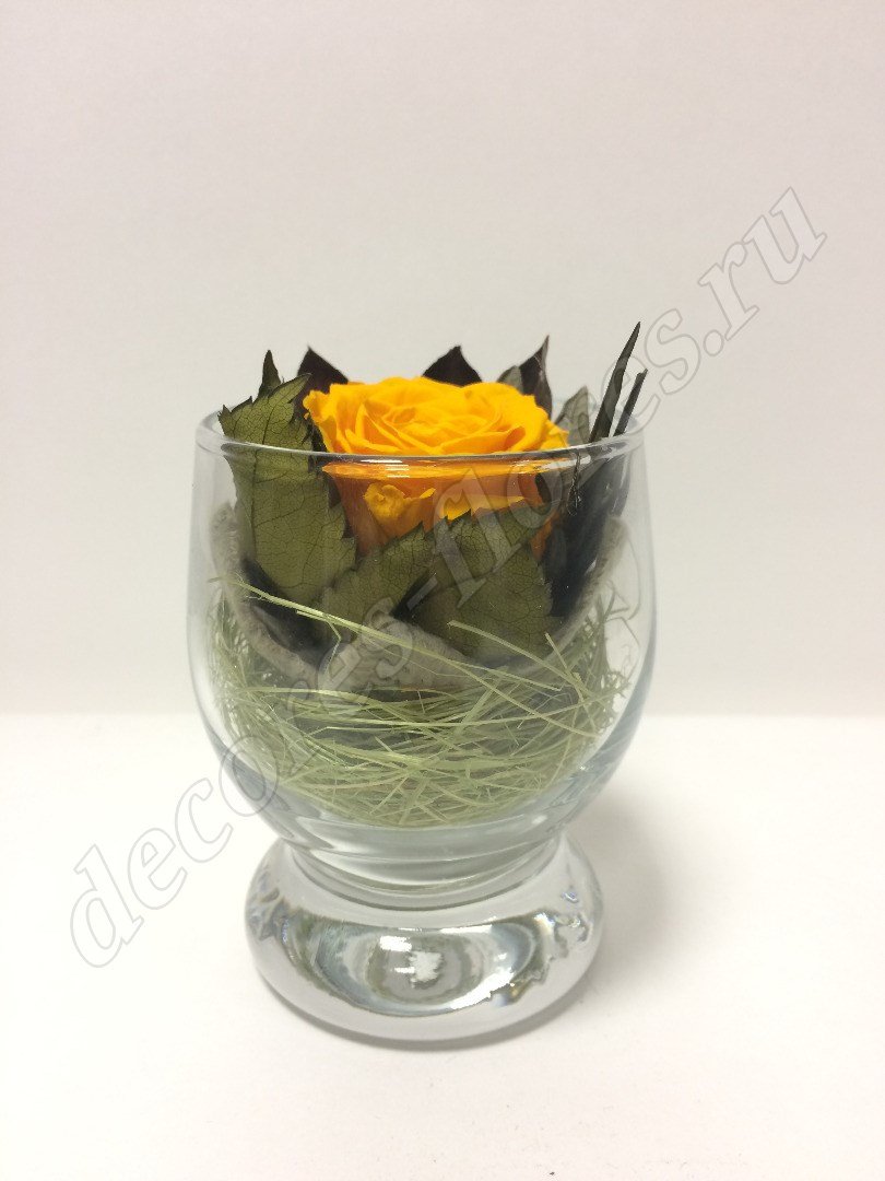 Оранжевая роза в мини стаканчике