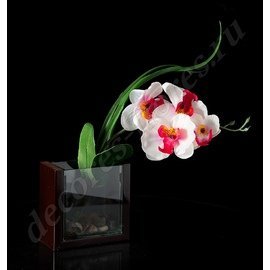 Композиция цветочная "Орхидея" 1