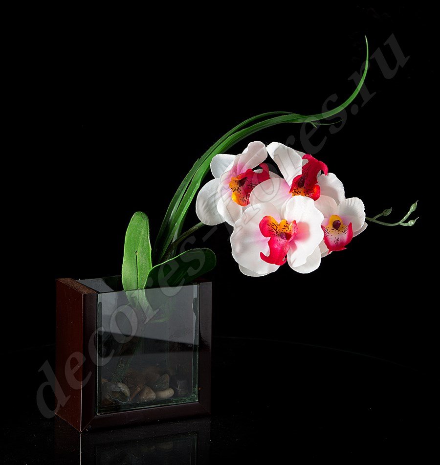 Композиция цветочная "Орхидея" 1