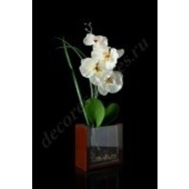 Композиция цветочная "Орхидея" 35 см
