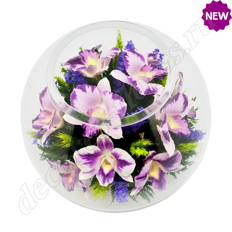 Сиреневые орхидеи в шаре