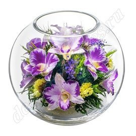 Цветные орхидеи в стекле