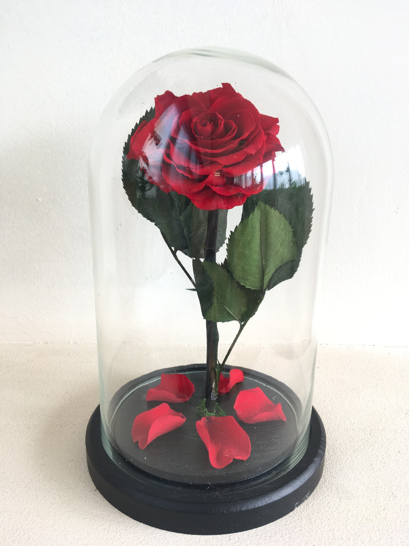 Роза в колбе 28х16 см, красная