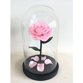 Роза в колбе 28х16 см, нежно-розовая