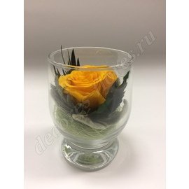 Оранжевая роза в стаканчике