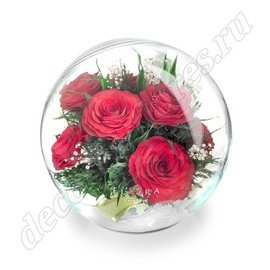 Красные розы в скошенном шаре