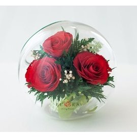 Яркие красные розы в стекле
