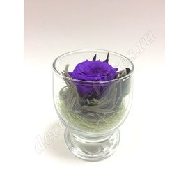 Лиловая роза в мини стаканчике