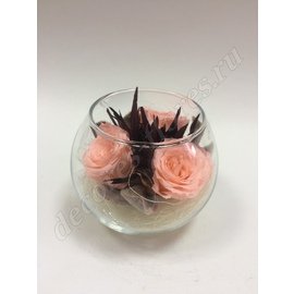 Персиковые розы в вазе
