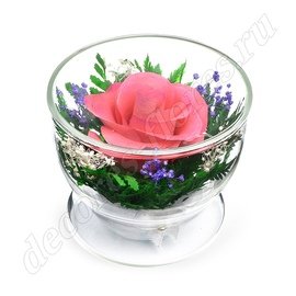 Живые цветы в стекле (вакууме) - купить в Москве