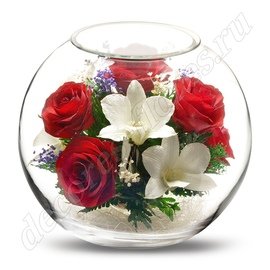 Микс красных роз и белых орхидей в шаре