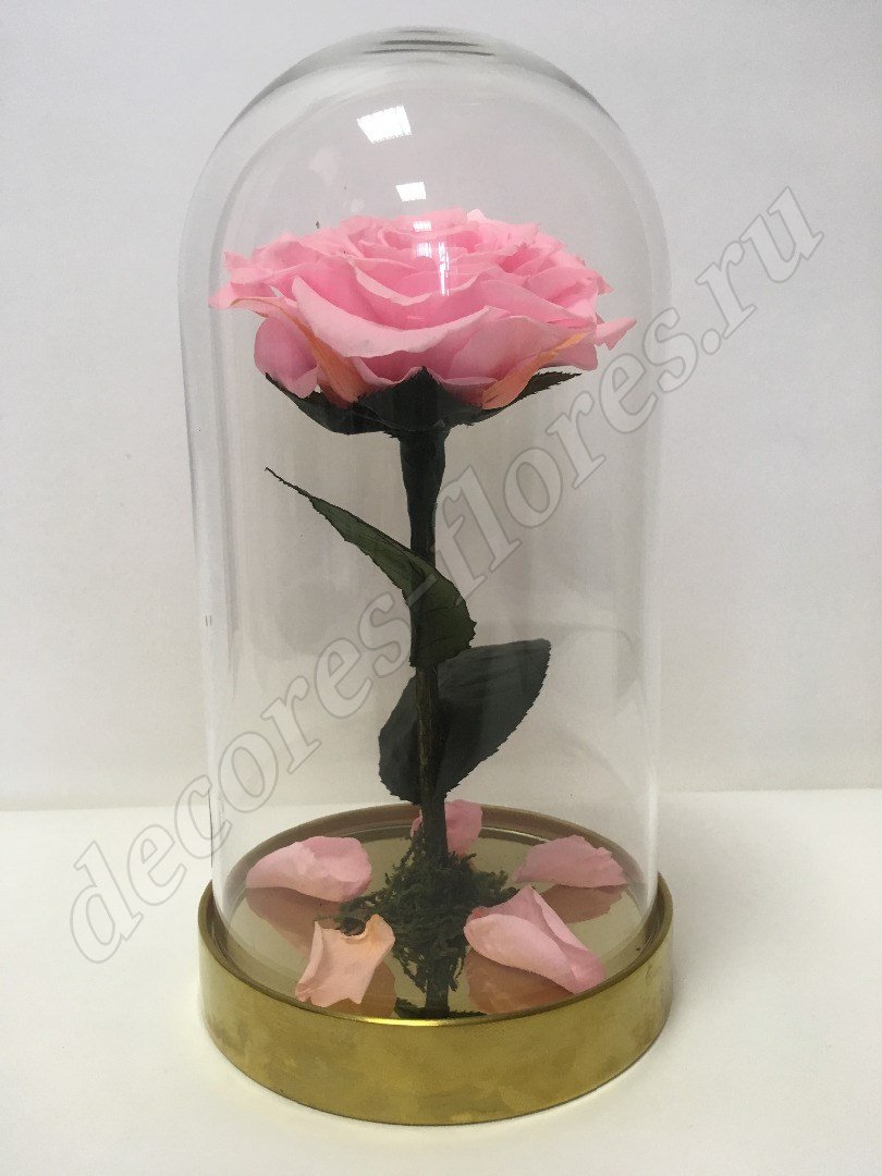 Роза в колбе 20х10 см, розовая