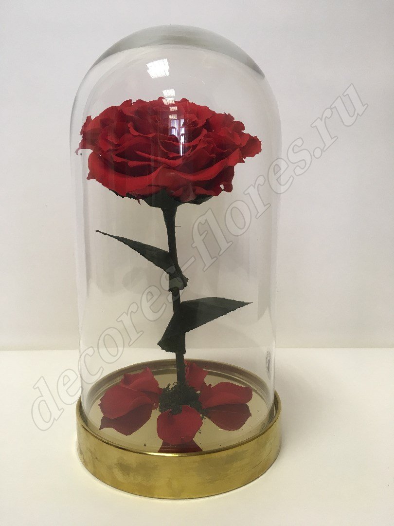 Роза в колбе 20х10 см, красная