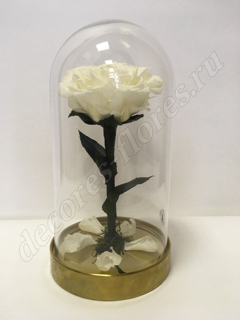 Роза в колбе 20х10 см, белая