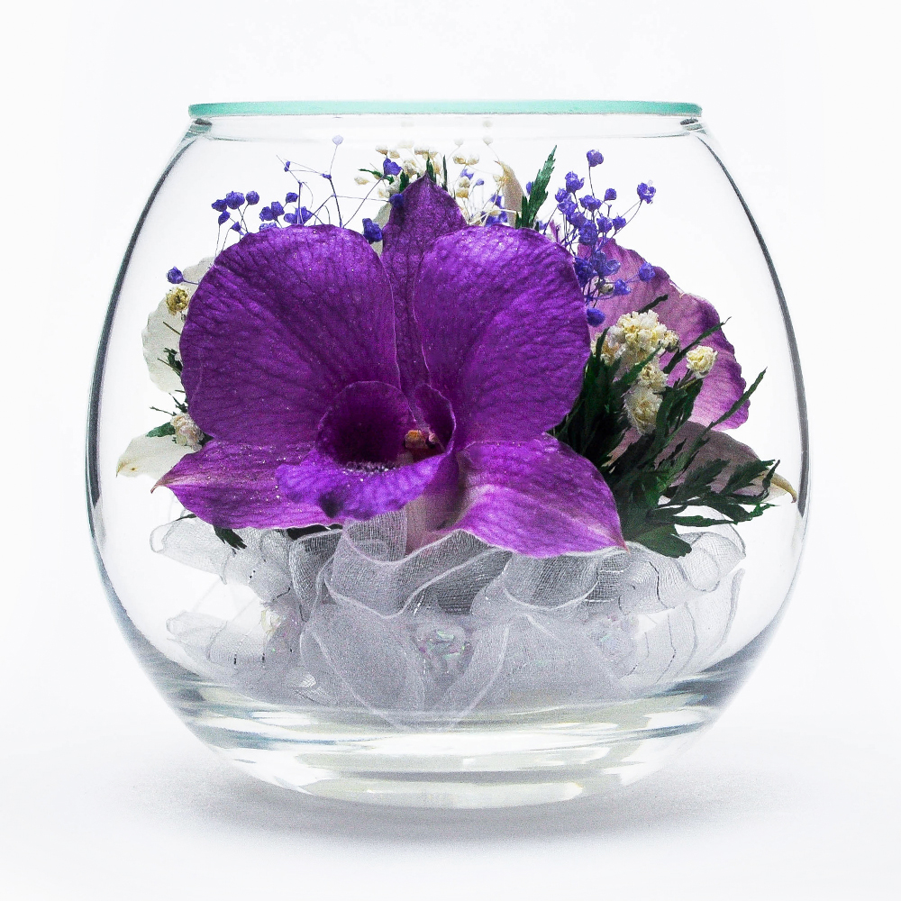 Натуральные орхидеи в стекле