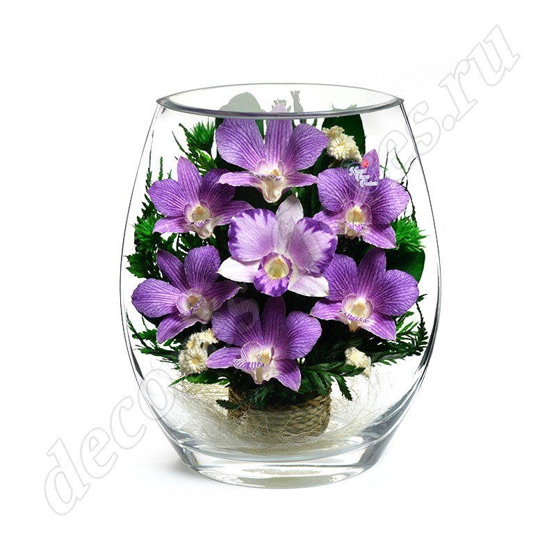Цветные орхидеи в односторонней вазе