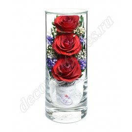 Три красные розы в цилиндре (арт. SLR)
