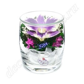 Орхидея в малом стакане
