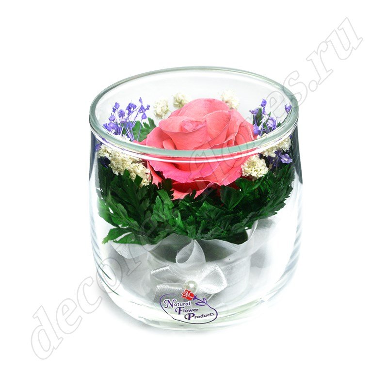 Живые цветы в стекле (вакууме) - купить в Москве