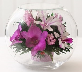 Орхидеи в большой круглой вазе
