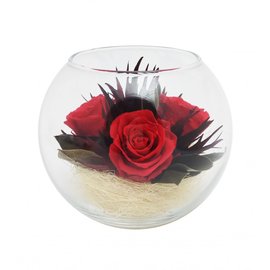 Красные розы в среднем шаре в коробке