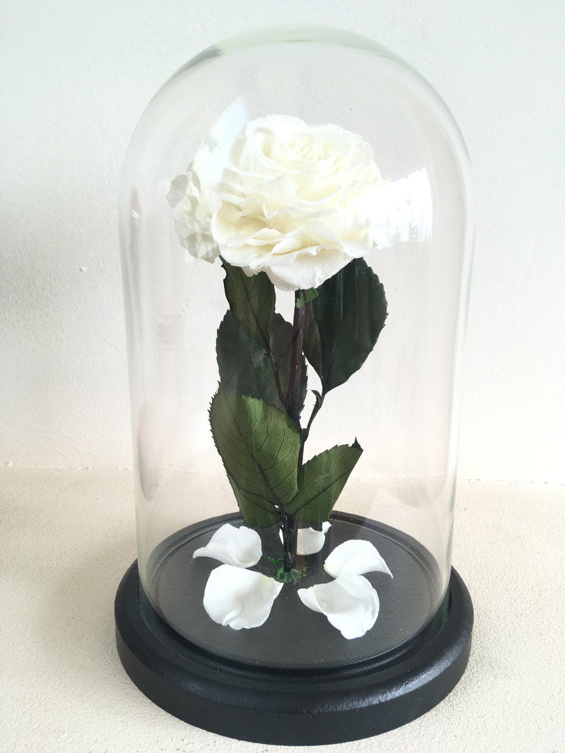 Роза в колбе 28х16 см,белая