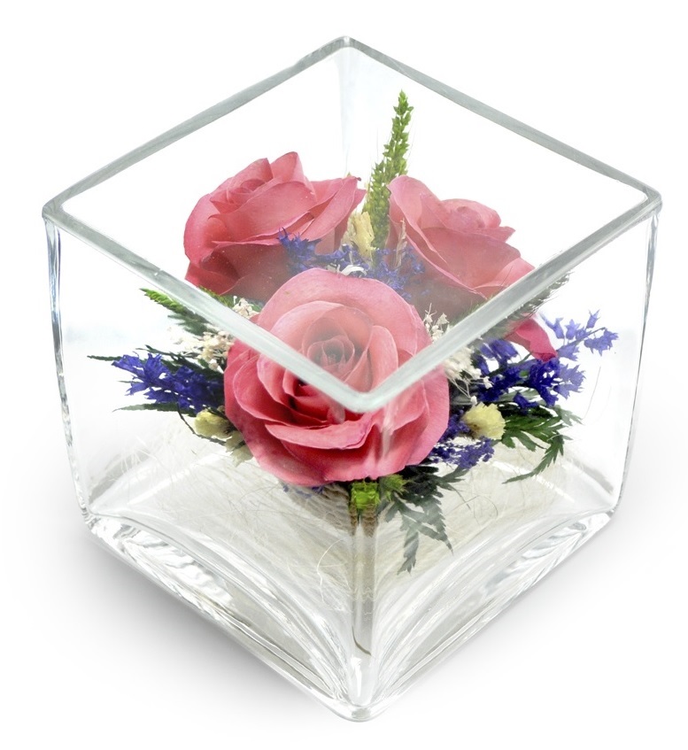 Розовые розы в кубе