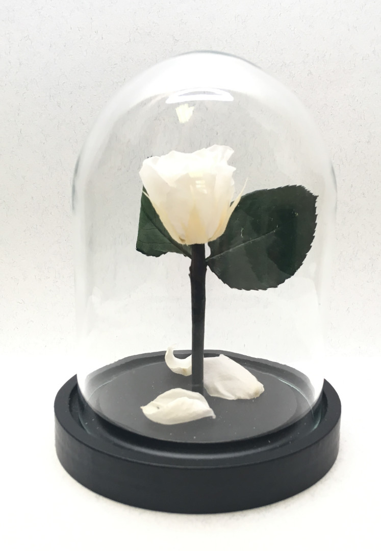Роза в колбе 14,5х11 см, белая