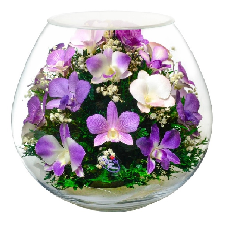 Разноцветные орхидеи в круглой вазе