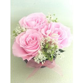 Стабилизированные розовые розы в коробке