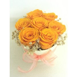 Стабилизированные оранжевые розы в коробке